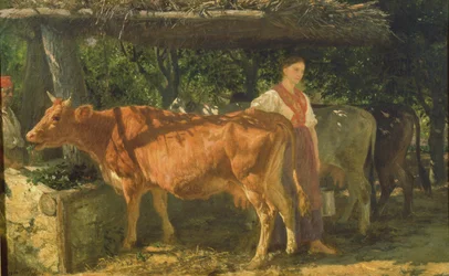 Tre kyr fôring, 1860